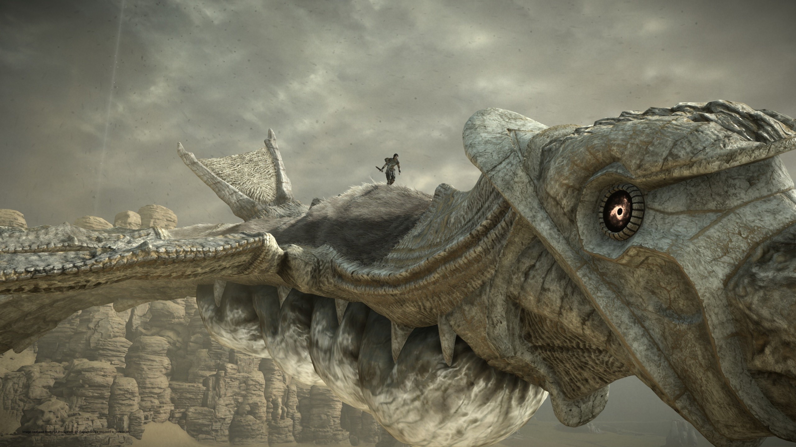 Shadow of the Colossus Remaster - Imagen 6